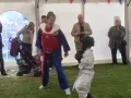 11535810_1116290738387957_2221187938569246624_n.jpg