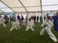 10277727_1116290915054606_2403787943364816224_n.jpg